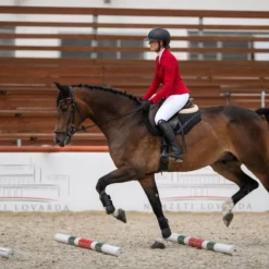 Cavalliera Women's Primetime Show Jacket - Ruby Red -Ovation || Dublin Officials 559135 800 800